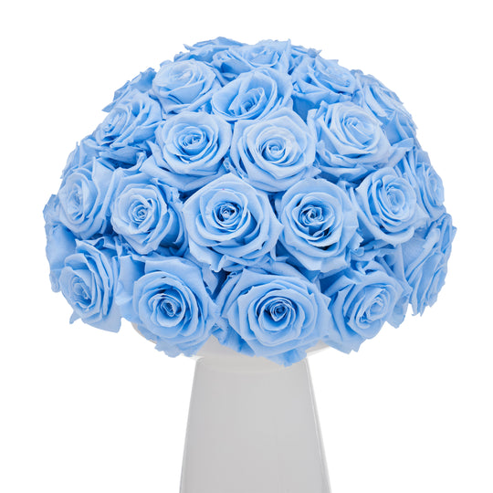 Ivoire Chic Le Luxe Baby Blue