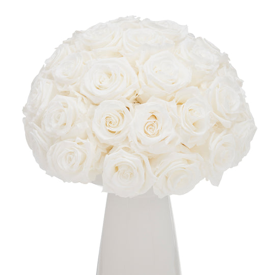 Ivoire Chic Le Luxe White