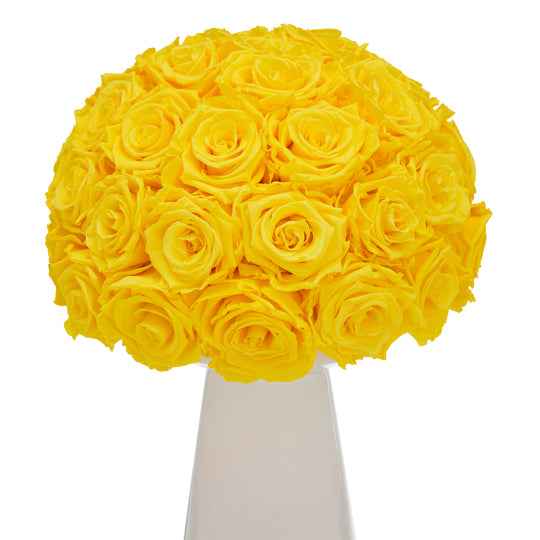 Ivoire Chic Le Luxe Yellow