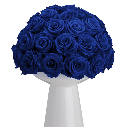 Ivoire Chic Le Luxe Blue Ocean