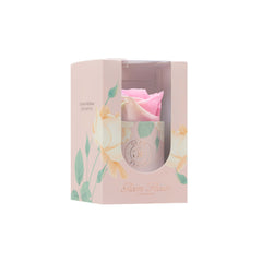 Blanche Uno Candy Rainbow