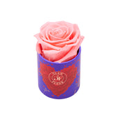 Amore Uno Light Pink
