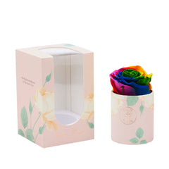 Blanche Uno Rainbow