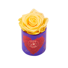 Amore Uno Orange Lacoma