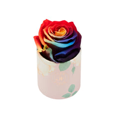 Blanche Uno Raspberry Splash