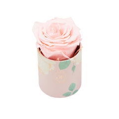 Blanche Uno Baby Pink
