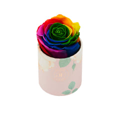 Blanche Uno Rainbow