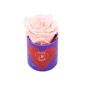 Amore Uno Baby Pink