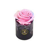 Noir Uno Candy Rainbow