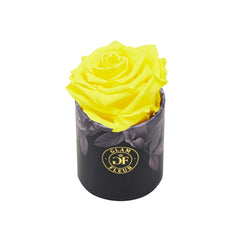 Noir Uno Yellow
