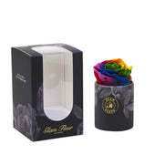 Noir Uno Rainbow