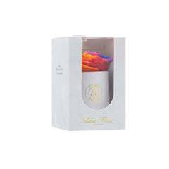 Marble Uno Rainbow