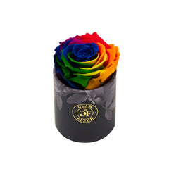 Noir Uno Rainbow