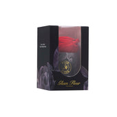 Uno Noir Red Bundle