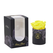 Noir Uno Yellow