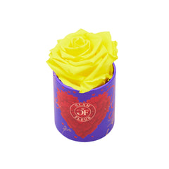 Amore Uno Yellow