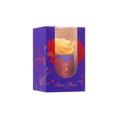 Amore Uno Orange Lacoma