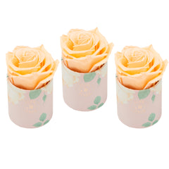 Uno Blanche Peach Bundle