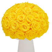 Ivoire Grande Le Luxe Yellow