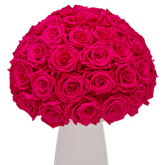 Ivoire Grande Le Luxe Fuchsia