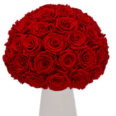 Ivoire Grande Le Luxe Red