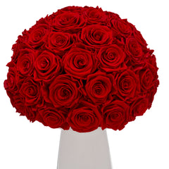 Ivoire Grande Le Luxe Red