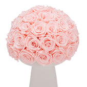 Ivoire Grande Le Luxe Baby Pink