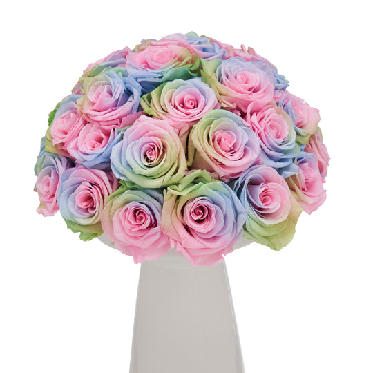 Ivoire Chic Le Luxe Candy Rainbow