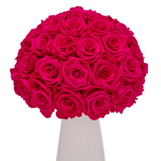 Ivoire Chic Le Luxe Fuchsia