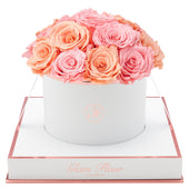 Blanche Round Light Pink and Peach