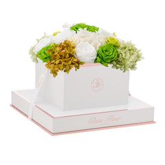 Blanche Square Green Fusion Preserved Flowers