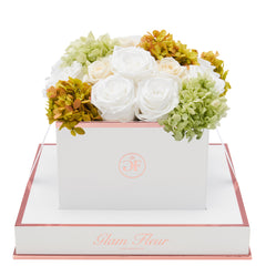 Blanche Square White Oregano Fusion Preserved Flowers