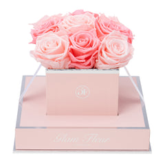 Rosé Chic Baby Pink and Light Pink