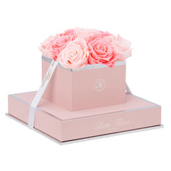 Rosé Chic Baby Pink and Light Pink