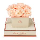 Montagé Chic Peach
