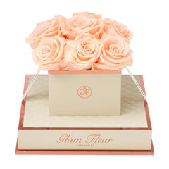 Montagé Chic Peach