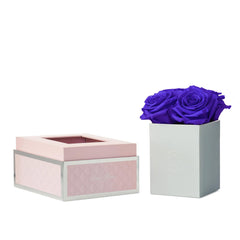 Rosé Petite Purple