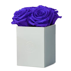 Rosé Petite Purple