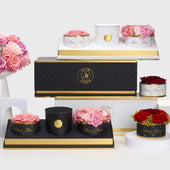 Blanche Glam Trio Red