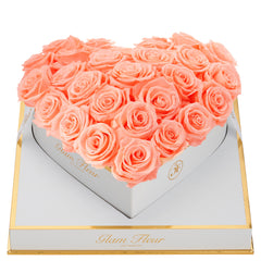 Blanche Heart Coral