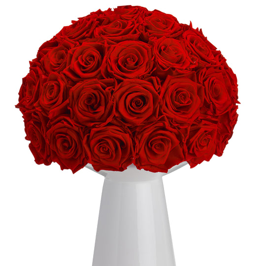 Ivoire Chic Le Luxe Light Red