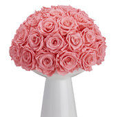 Ivoire Chic Le Luxe Light Pink