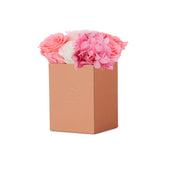 Montagé Petite Pink Ivory Fusion Preserved Flowers