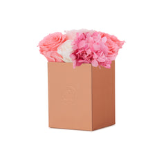 Montagé Petite Pink Ivory Fusion Preserved Flowers