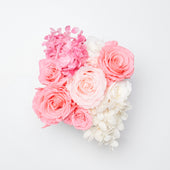 Montagé Petite Pink Ivory Fusion Preserved Flowers