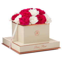 Montagé Square White and Fuchsia Preserved Roses