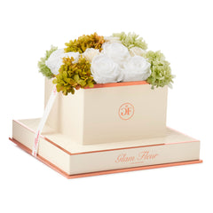 Montagé Square White Oregano Fusion Preserved Flowers