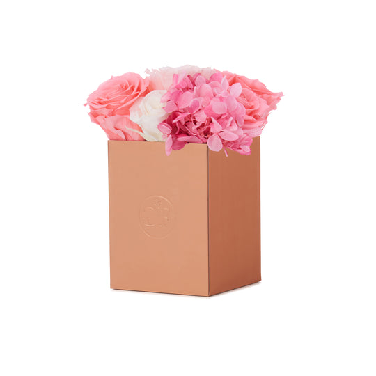Noir Petite Pink Ivory Fusion