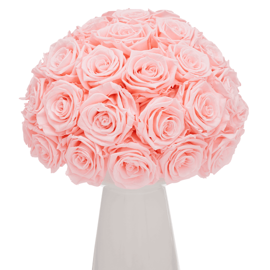 Ivoire Chic Le Luxe Baby Pink