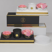 Noir Glam Trio White
